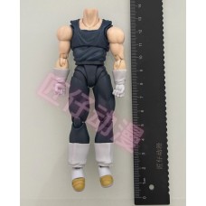 OUT OF STOCK Bandai Shf Hero Vegeta Body